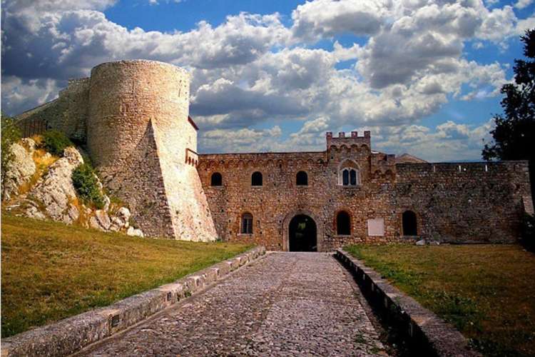 Bovino